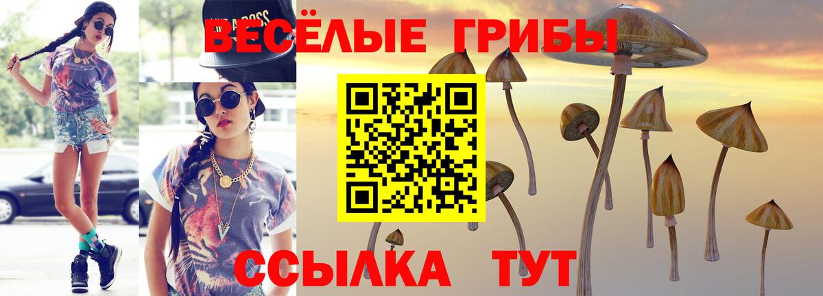 Киселёвск  Псилоцибиновые грибы GOLDEN TEACHER  как найти наркотики  Вход с VPN  Галлюциногенные грибы мухоморы 